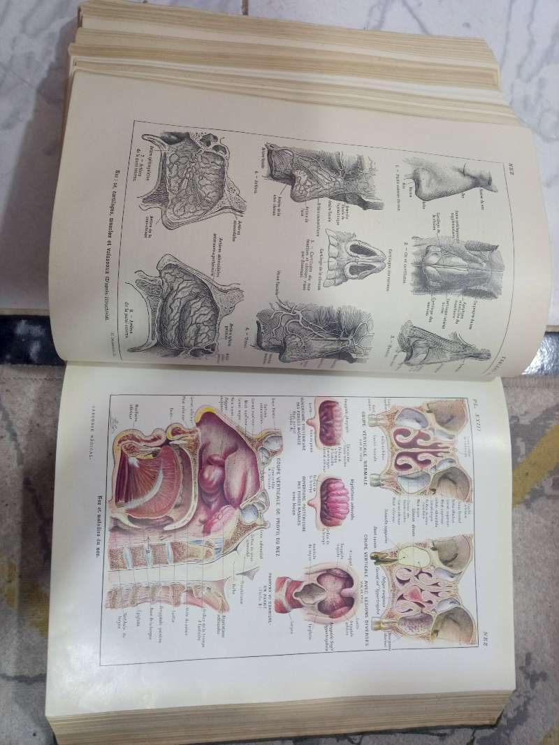 Larousse médical illustré de 1924 paris - Miniature 7