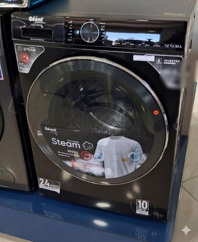 Machine à laver marque  géant seniora 12 Kg gris