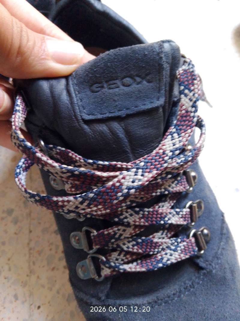 Chaussures basket hiver Geox