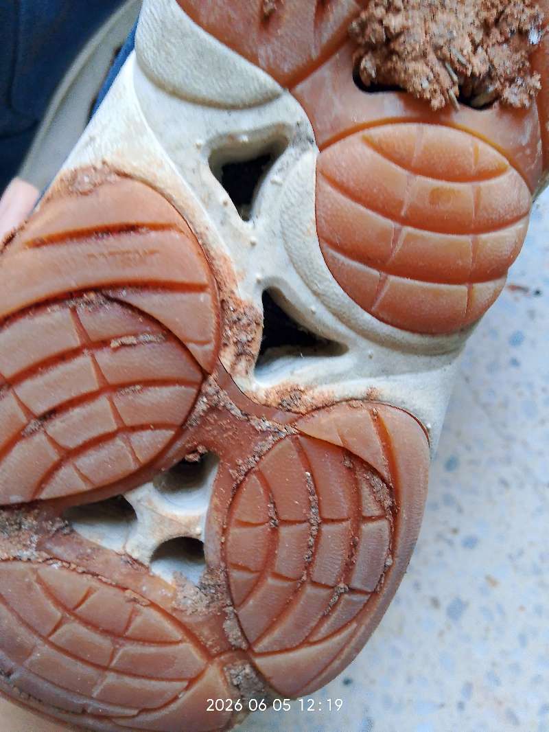 Chaussures basket hiver Geox - Miniature 4