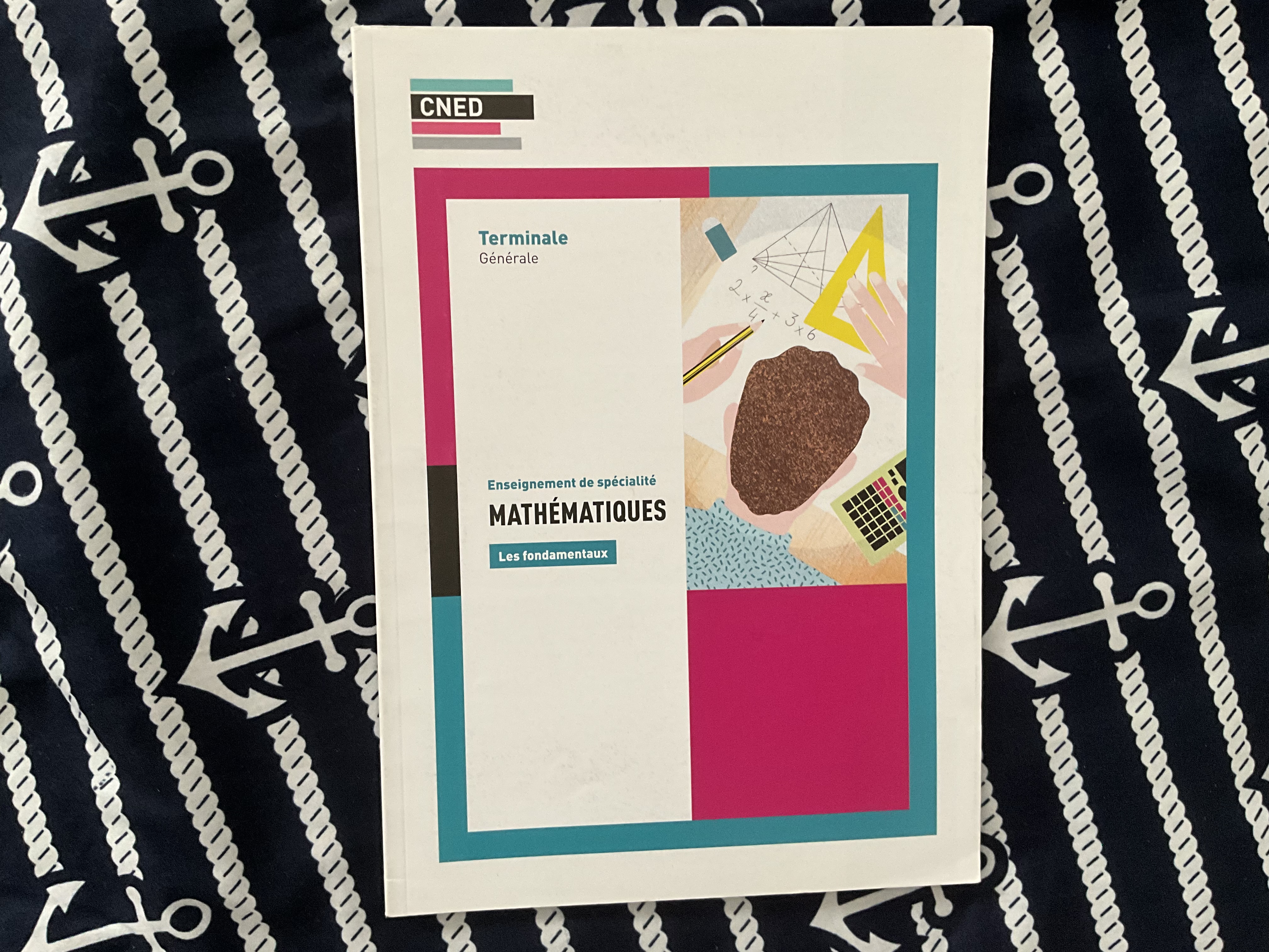 Livre CNED : Mathématiques - Terminale
