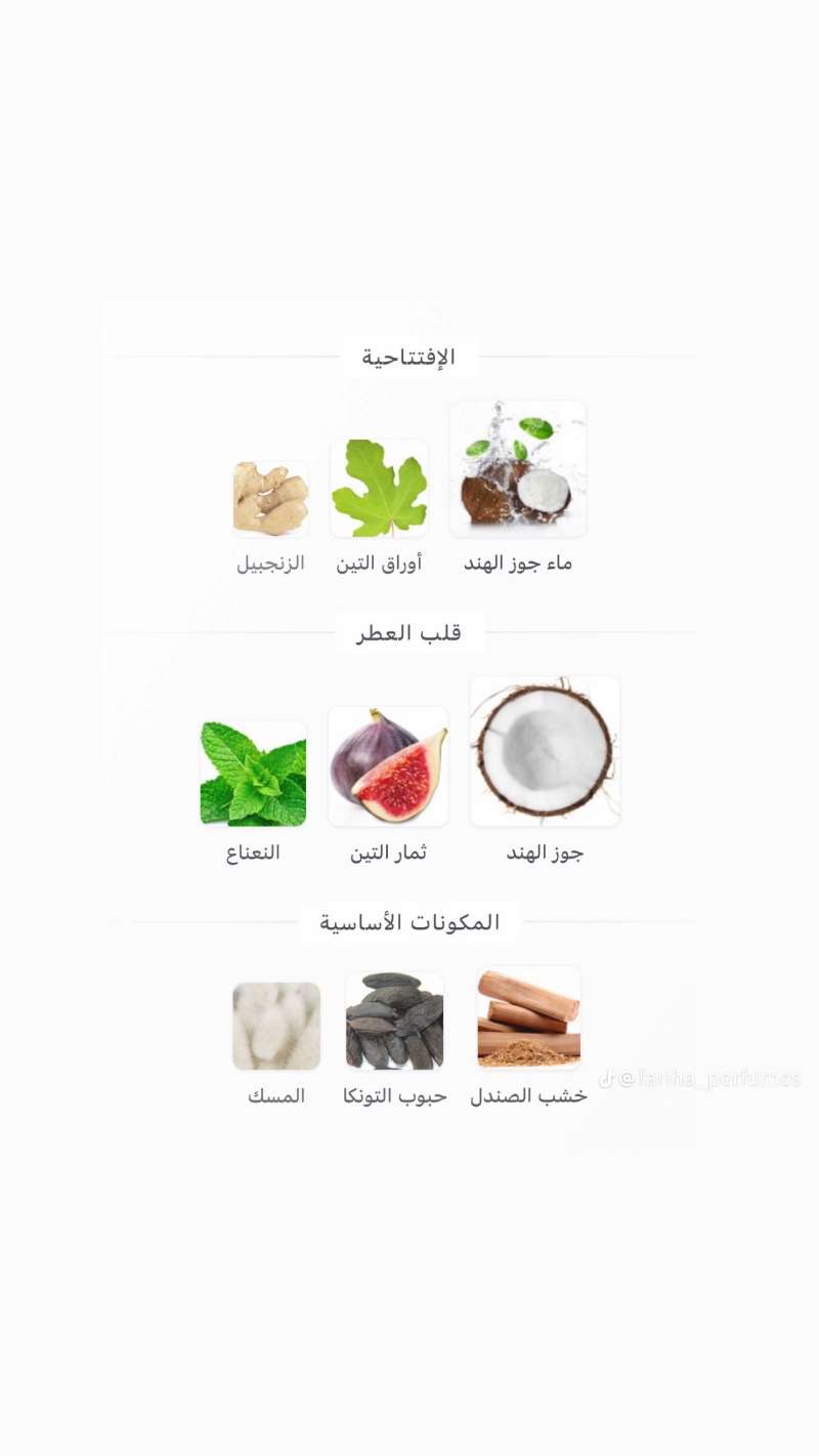 هواس تروبيكال - Miniature 3