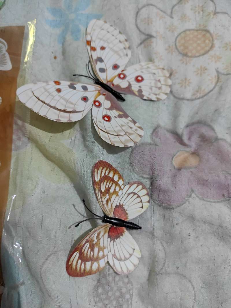 Papillons 🦋✨ décoratifs, 3D . En PVC . - Miniature 2