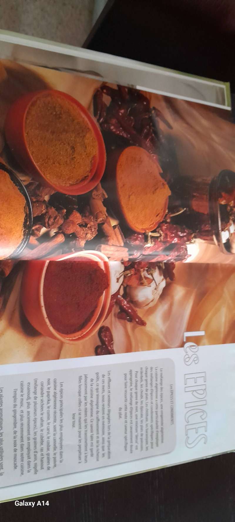 Livre de cuisine la gastronomie algérienne revisitee de L Boucherite - Miniature 6