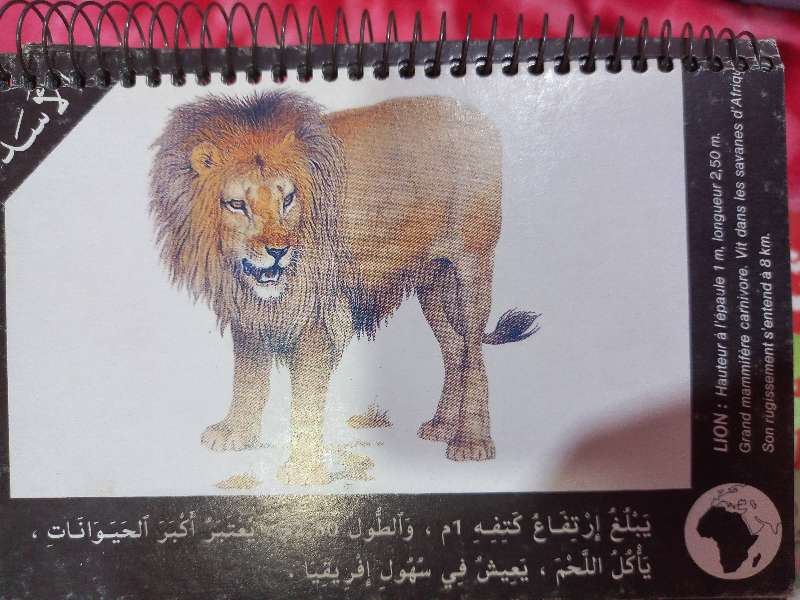 قواميس