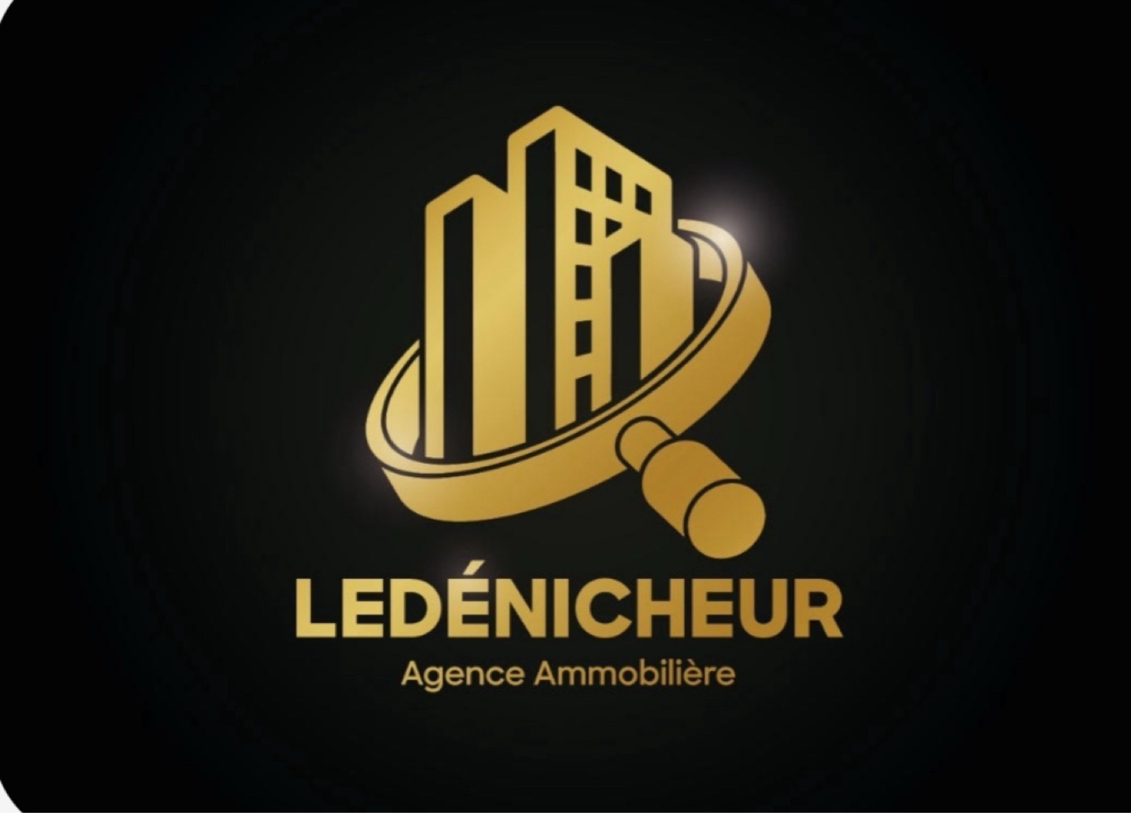 Agence Immobilière LE DÉNICHEUR